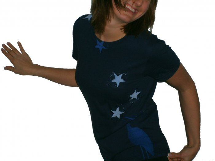 Women's Blue Heron in the Stars Tee