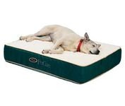 sleeping bed