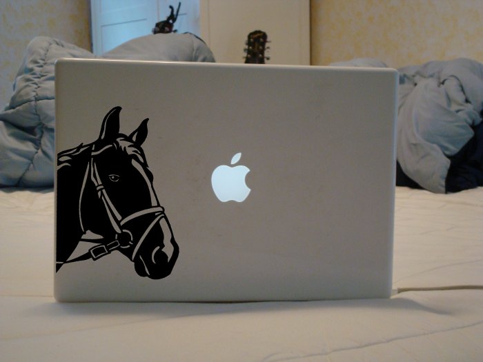 Horse Head