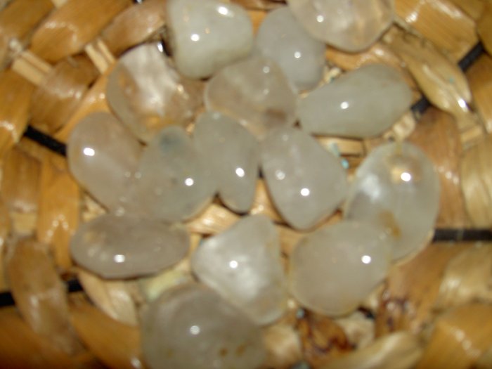 Silver Topaz - for visualization and communication with animals and plants