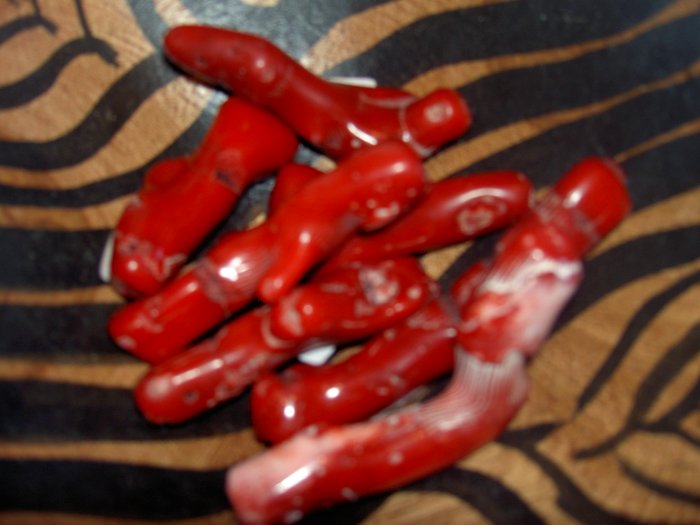 Red Coral - for visualization, grounding and meditation