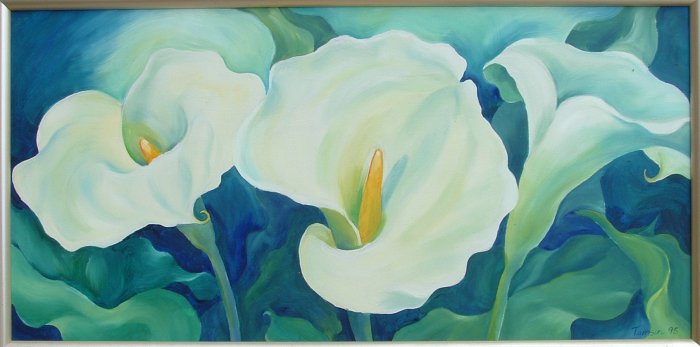 arum lilies
