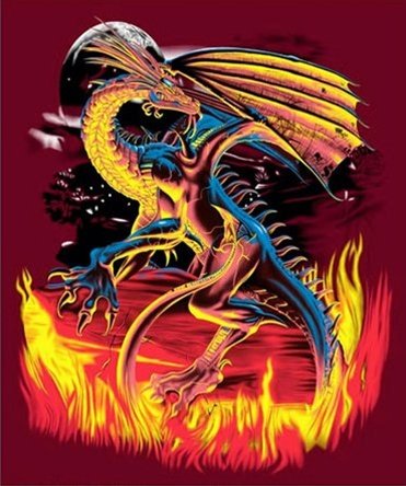 queen dragon blanket
