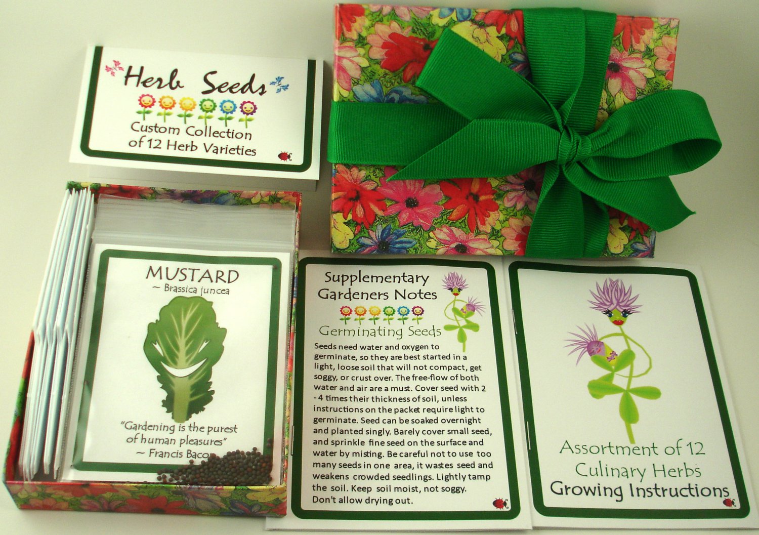 Gift Box Assortment of 12 Culinary Herb Seeds