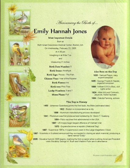 Birth Announcement keepsake