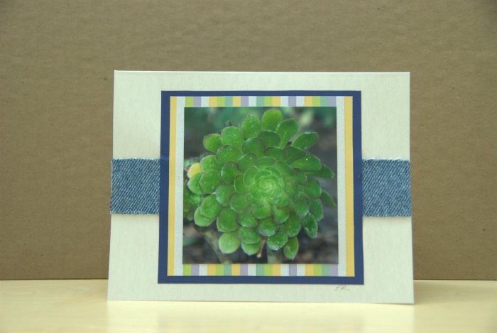 Wishing you the best of everything - photo card with denim