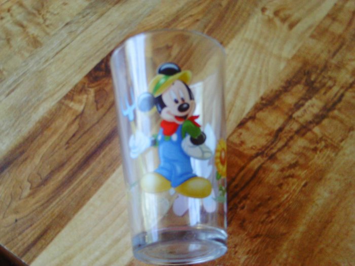 Disney Mickey and Minnie Glass Cup