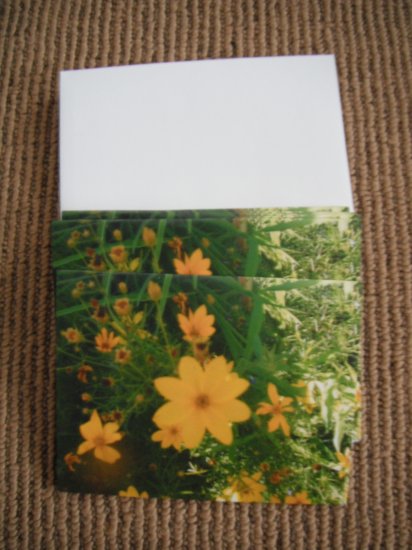 Blank Flower Cards with Envelopes!