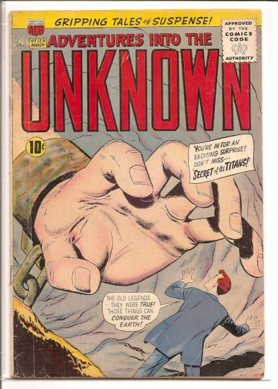 ADVENTURES INTO THE UNKNOWN # 123, 4.0 VG