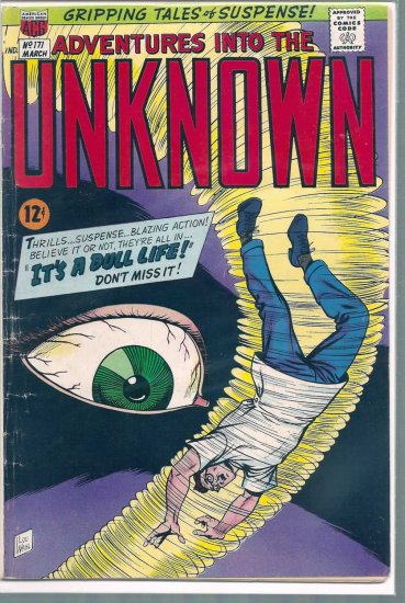 ADVENTURES INTO THE UNKNOWN # 171, 4.5 VG +