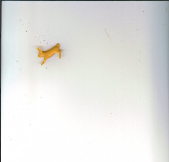 NEANDERTHAL MAN RABBIT HALF # 23, 9.4 NM
