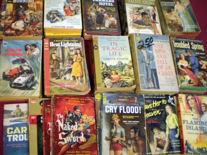 VINTAGE ROMANCE PAPERBACK LOT OF 25 # 25, 2.0 GD