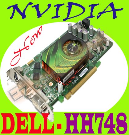 NVIDIA 7900GS 256MB PCI-E Video Graphics Card HH748 #