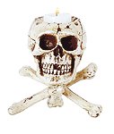 Skull on Bone Tripod -31079