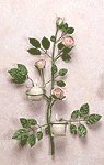 Metal Rose Wall Sconces -33596