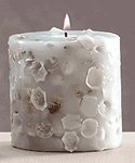 Scented Candle - Assorted Shells -30094