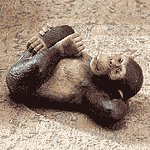 Reclining Monkey -33511