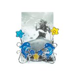 Dolphins Wire Frame -36869