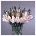 30-White-Tulip Lighted Bouquet -2308