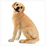Golden Retrievers -30423