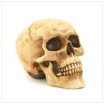 Grinning Skull -36245
