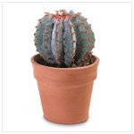 Faux Cactus -36678