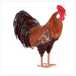 Rooster Replica -33704