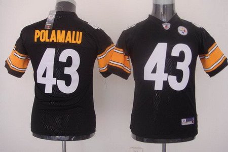 Troy Polamalu #43 Black Pittsburgh Steelers Youth Jersey