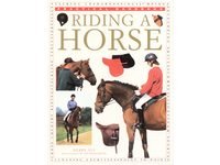 Riding a Horse by Debby Sly