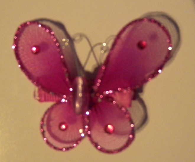 Butterfly Clip