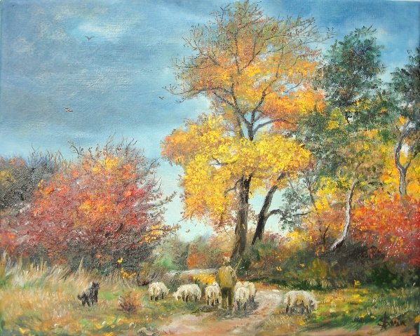 With Sheep on Pasture