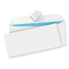 2,000 full color printed #10 peel and seal security envelopes without window