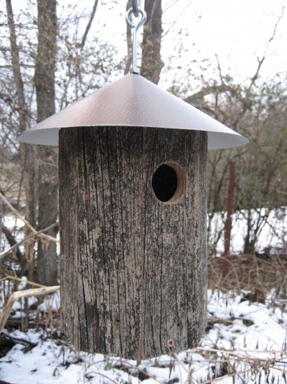 Rustic Hanging Bluebird House