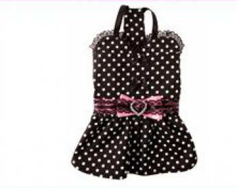 Bijou Dog Dress