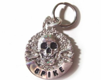 Skull & Cross Bones Tag