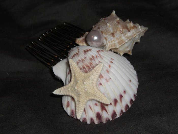 By The Sea Shore Hair Comb
