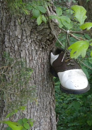 "THE THIRD WORLD SHOE"