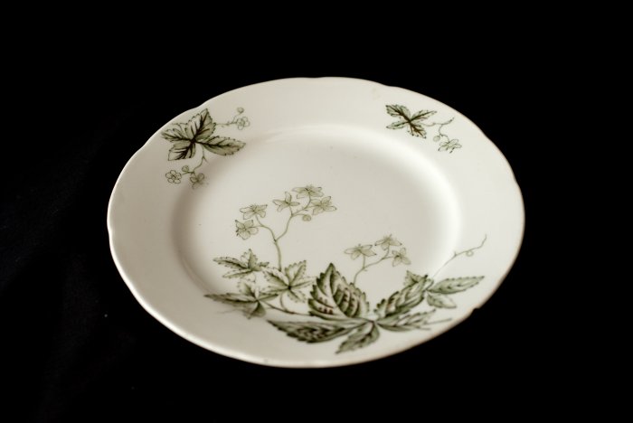 John Edwards china table plate Tea Leaf design