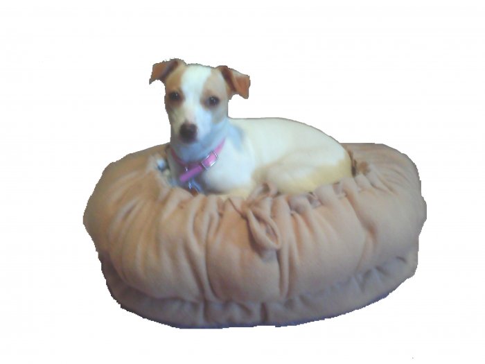 Powder Puff Bed