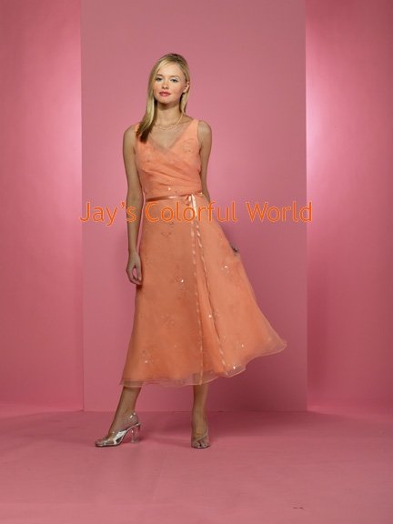 Orange T-length V-neckline Organza Bridesmaid Dress/Evening Dress/Home Coming