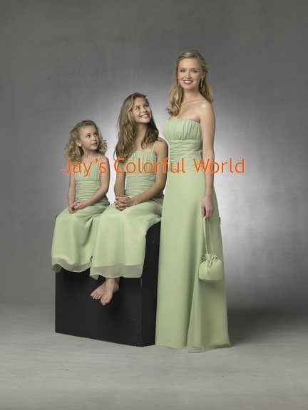 Kiwi Strapless or Spaghetti Strap Chiffon Bridesmaid Dress/Evening Dress/Home Coming