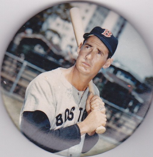 Ted Williams Sports Pin