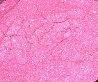 Fuschia Roses