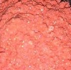 Truly Coral