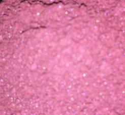 Blackberry Sorbet