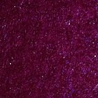 Deepest Fuschia