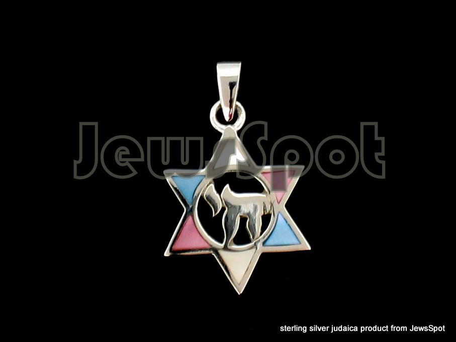 925 PENDANT MAGEN DAVID WITH