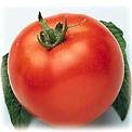 Marglobe Tomato Seeds - 50