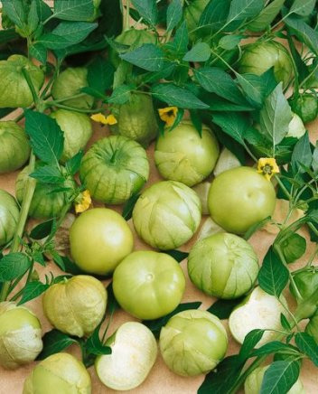 Rio Grande Verde Tomatillo Seeds - 50