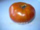 Rutgers Tomato Seeds - 50